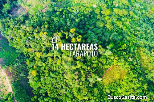 VENDO TERRENO 14 HECTÁREAS EN TARAPOTO 