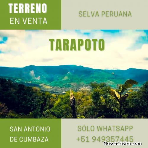 HERMOSO TERRENO EN LA SELVA PERUANA - SAN ANTONIO DE CUMBAZA - TARAPOTO