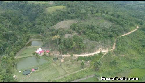 OPORTUNIDAD DE INVERSIÓN SAUCE -TARAPOTO
