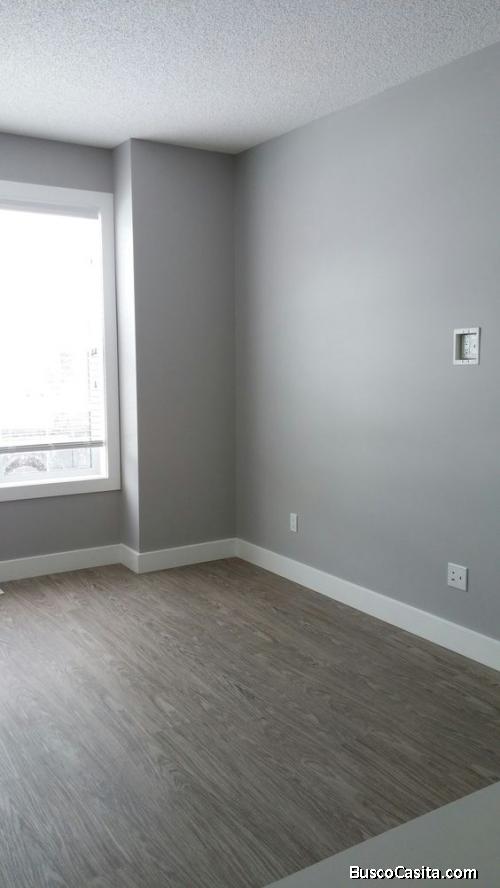 Alquiler   de departamento en   SAN LUIS   av del aire 
