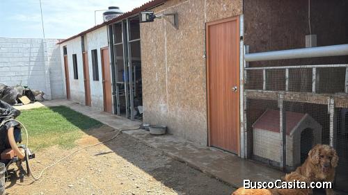  HUANCHACO TERRENO A LA VENTA CERCADO DE 200MTRS