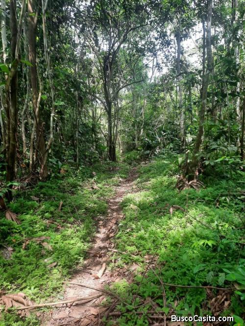 Ocacion de Veta de Terreno Agricola