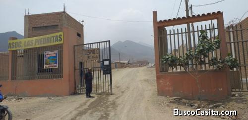 TERRENO INDUSTRIAL LAS PIEDRITAS CARABAYLLO