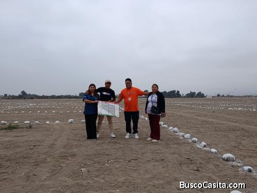 Venta de terrenos en chincha