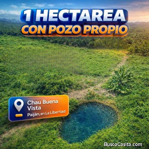 Terreno en Venta – Paiján | 1 Hectárea