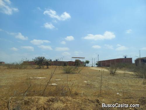 Vendo Terreno 360 m² en ADUS Sullana – 18 m de frente salida directa a la Panamericana