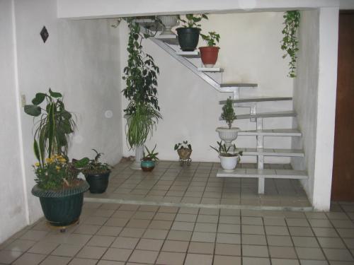 EJIDAL OCOLUCEN ATRAS DEL HOTEL HOLIDAY INN