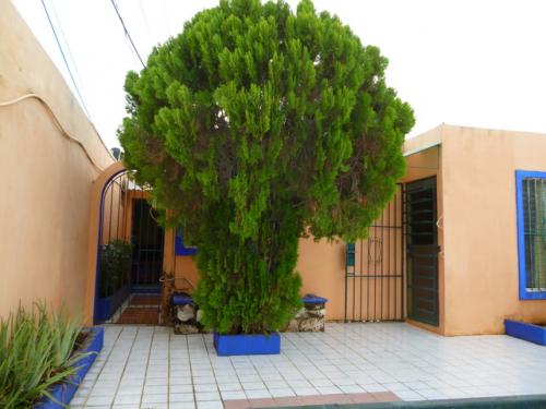 Departamento amueblado en renta en Merida Convenio de renta gratis por semana o meses, internet