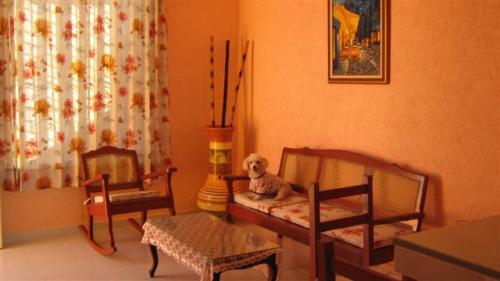 Casa amueblada Hospedaje por semana meses Convenio de renta gratis sin aval aceptamos mascotas