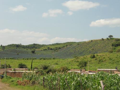 TERRENO EN VENTA EL ARENAL JALISCO