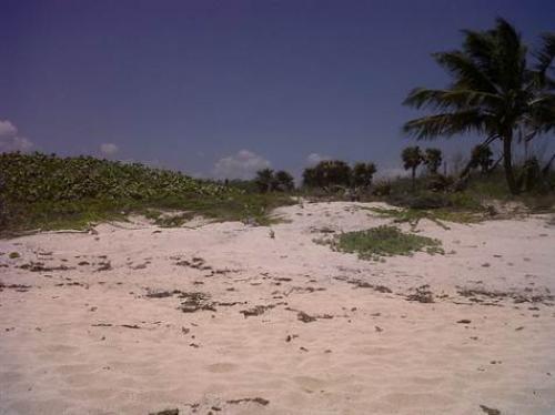 Espectacular lote frente al mar en Jade Bay, Akumal!