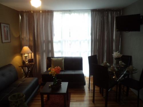 Se renta Suite al sur del Df para estancias por negocios