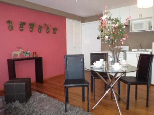 Departamento excelente iluminación natural para viajes empresariales