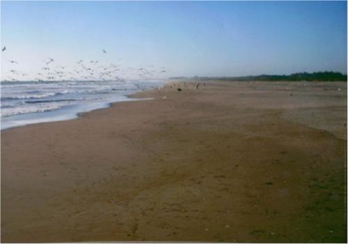 Terreno En Venta En Sinaloa,De Oportunidad En Zona Turistica