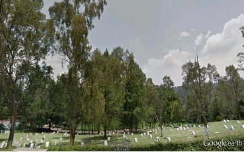 Parque Memorial Los Cipreses Lote funerario 4 gavetas Perpetuidad