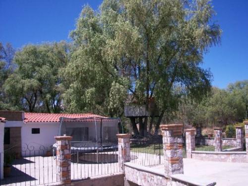 Vendo Rancho de 2,800 m2 Terreno 300 C. dentro de la Ciudad 