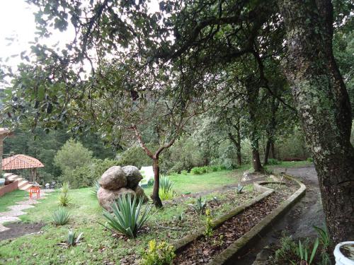 Para vivir de manera especial, un TERRENO especial desde 615 m2.