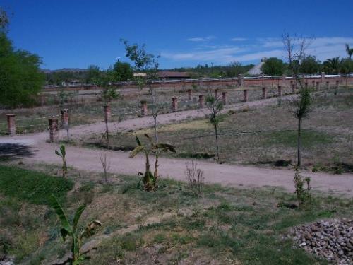 Vendo lote 6 Campestre de 784 m2 dentro de la Ciudad