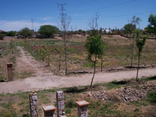  VENDO LOTE 2 CAMPESTRE DE 839 m2 DENTRO DE LA CIUDAD