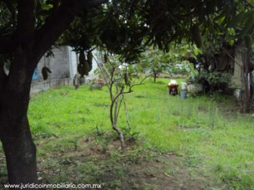 Bonito y bien ubicado terreno en Atlatlahuacan, Morelos 