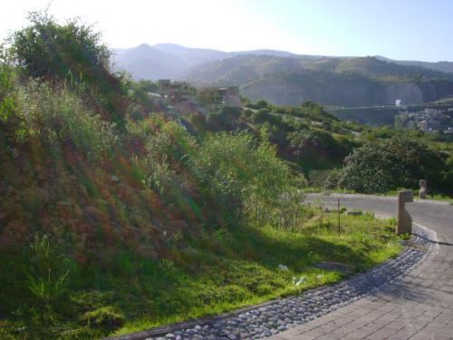 BOSQUE REAL. MAGNÍFICO TERRENO EN PREIVADA