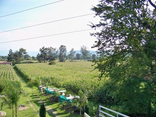 Terreno para su granja sobre carretera Villa Corona