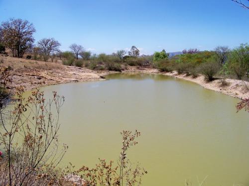 Buen Rancho Ganadero de 687 has con abundante Agua