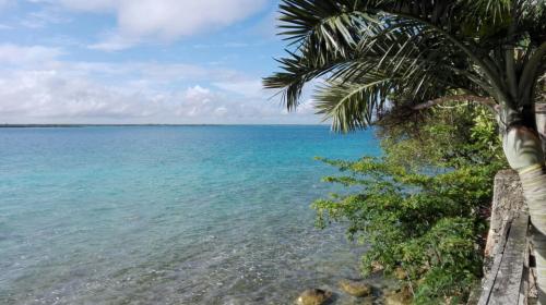 Terreno con laguna en bacalar