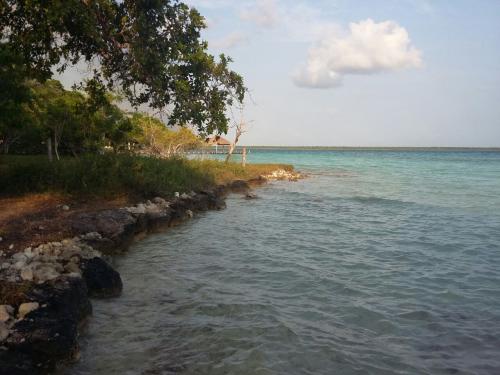 Terreno con laguna en bacalar