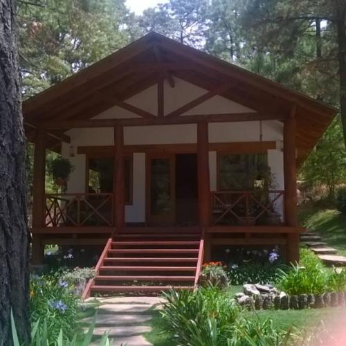 Terrenos residenciales: Bosques de la cañada