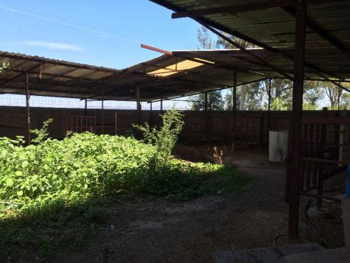 Vendo Terreno Sobre Carretera Con Uso De Suelo Mixto