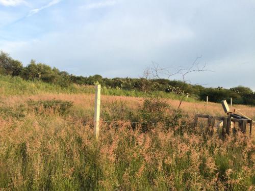 VENDO TERRENO RUSTICO SOBRE CARRETERA