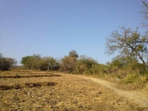 En Xoxocotla Terrenos Ubicados en el Campo La Zanja