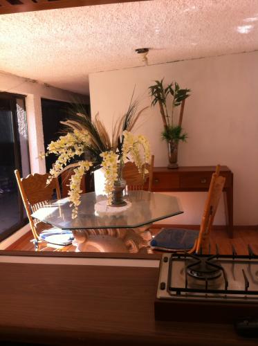 Departamento Tipo Loft con Servicios Incluidos