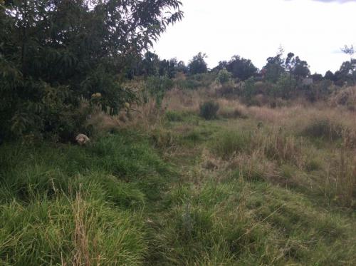 Terreno en venta en Nopaltepec, Estado de Mexico