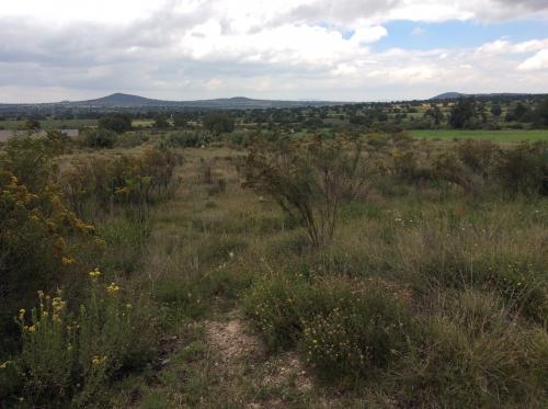 Terreno en venta en Nopaltepec, Estado de México