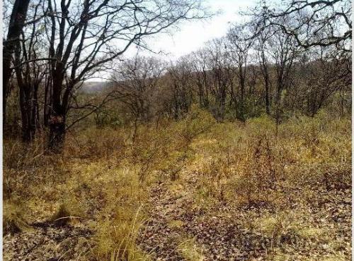 Terreno en venta en Las Animas, Naucalpan Edo Mex