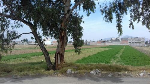 Terreno en venta en La Magdalena Panoaya, Texcoco Edo Mex