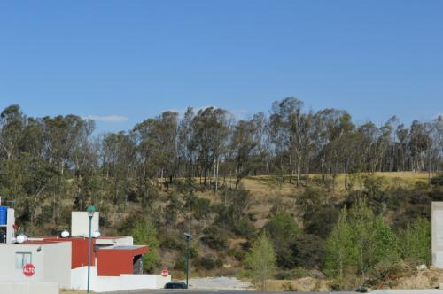 La Mejor Opción Para Vivir Casas  El Lago Residencial