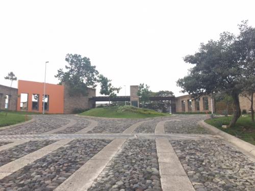 AV. CARRETERA A NOGALES  #23765 LOTE 41 FRACC. TRES RIOS