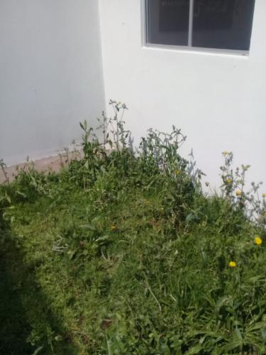 La Mejor Casa que Puedes Tener
