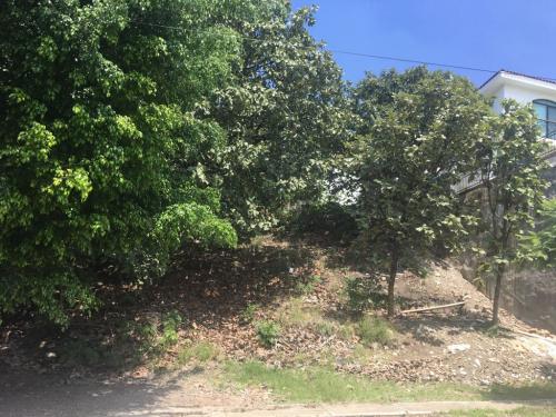 EL PALOMAR, PASEO DE LAS CUMBRES LOTE #381 MANZANA 24 SECCION BALCONES