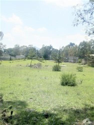 Terreno plano