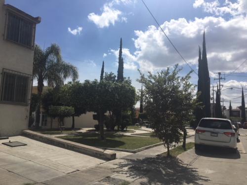 Casa en Renta en Plaza Guadalupe
