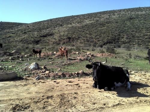 TERRENO EN VENTA EN VALLE DE LAS PALMAS (TECATE)