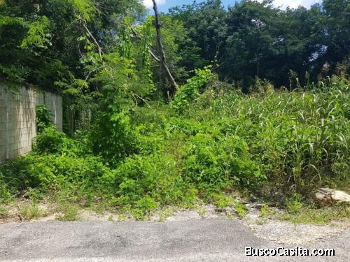 TERRENO EN VENTA EN CINCO COLONIAS