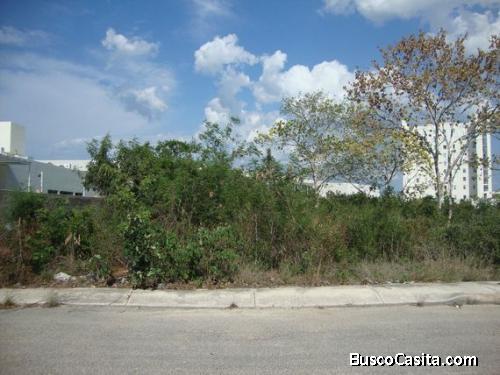 terreno en venta en cinco colonias