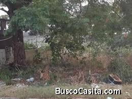 Vendo terreno en villamagna