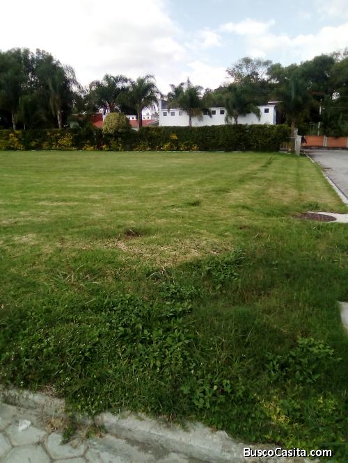 HERMOSO TERRENO EN EL MEJOR CLIMA DEL MUNDO