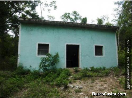 Casa en venta ubicada en tzucacab